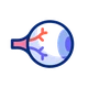 Ophthalmology